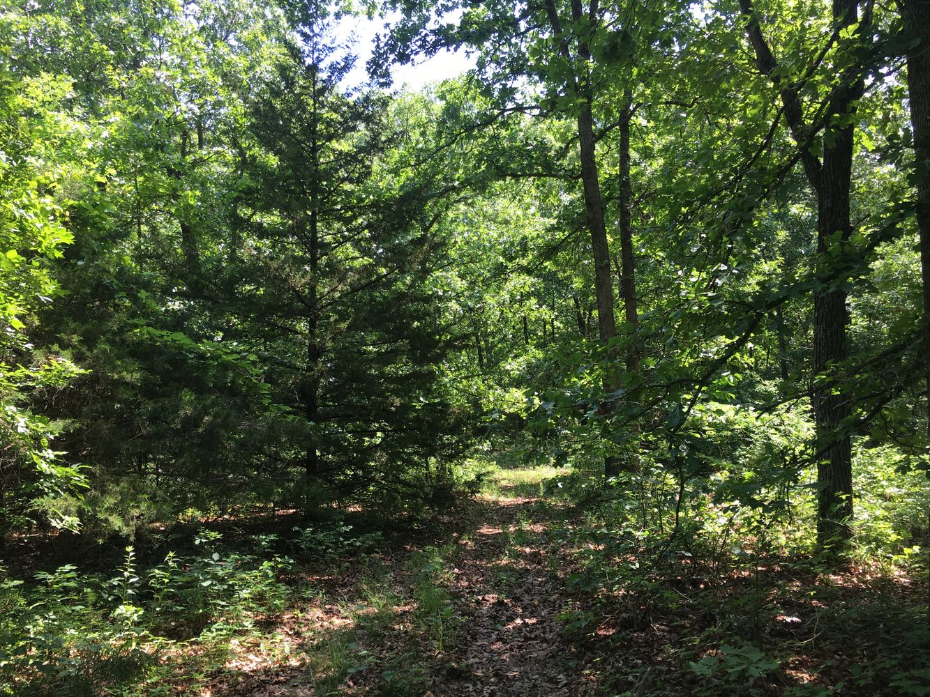 4897 & 4878 Norman Drive, Hartville, MO 65667